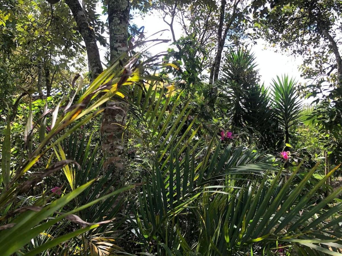 Macondo Chales Lavras Novas Ngoại thất bức ảnh
